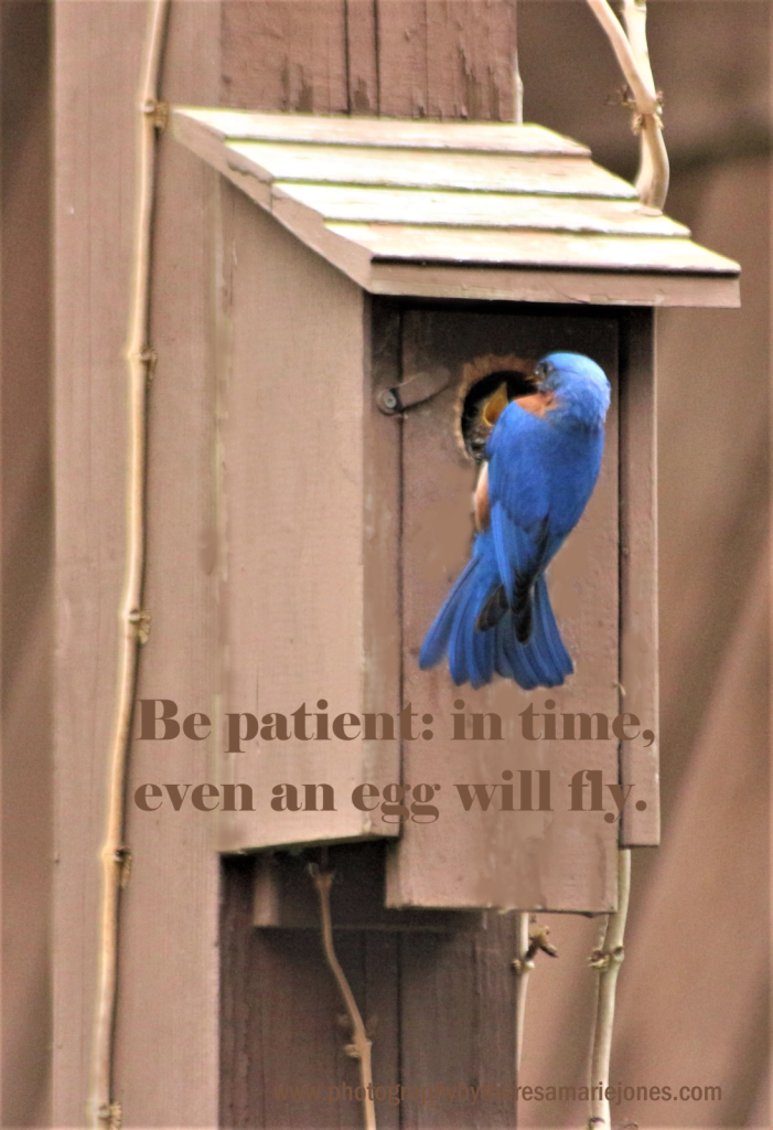 Be patient...