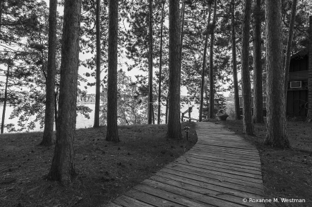 Boardwalk to the lake