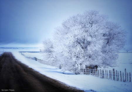~ Country In The Winter ~