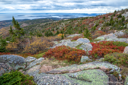 Cadillac Mountain in Acadia National Park