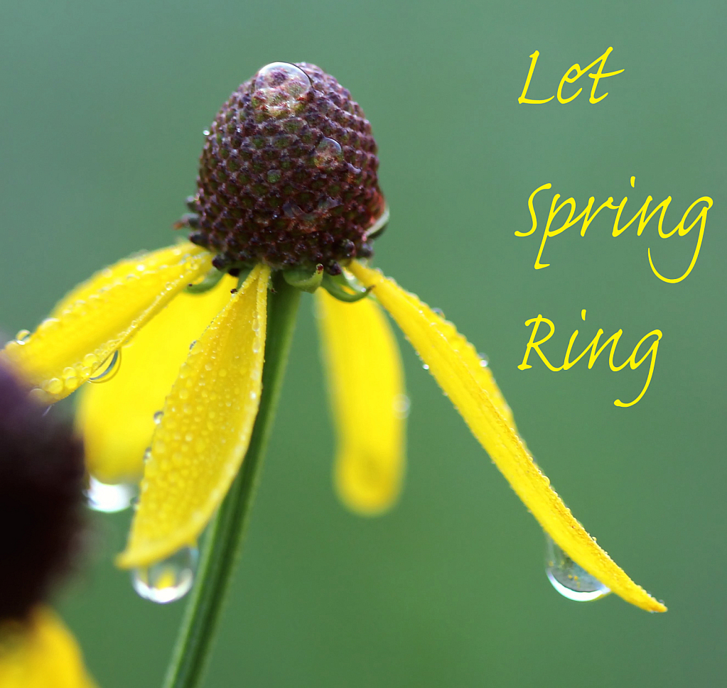 Let Spring Ring