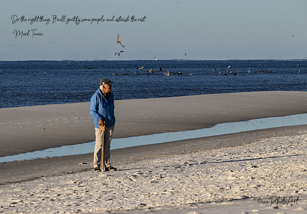 Peace and Pelicans - ID: 15993639 © Candice C. Calhoun