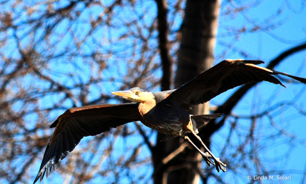 In Flight Mode