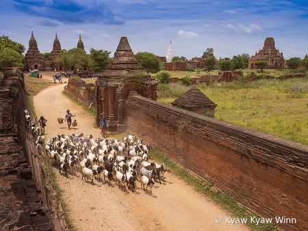 Daily Life of Bagan