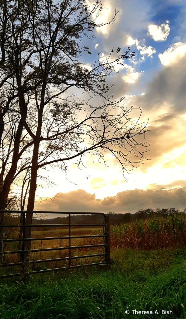 Gate Leading To The Sunset 