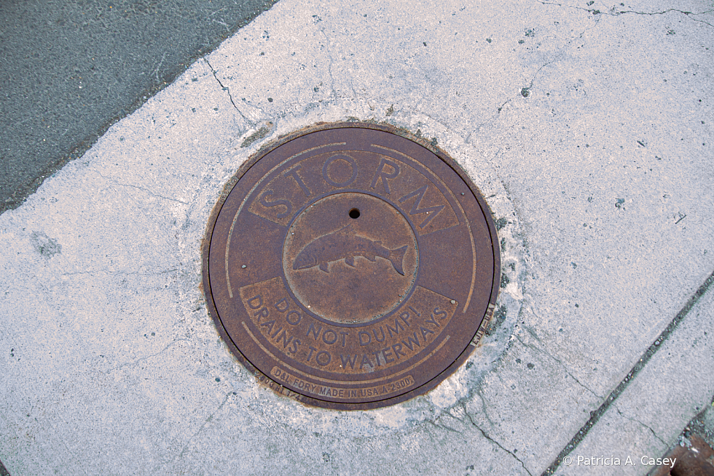 Storm Drain Anchorage - ID: 15994323 © Patricia A. Casey