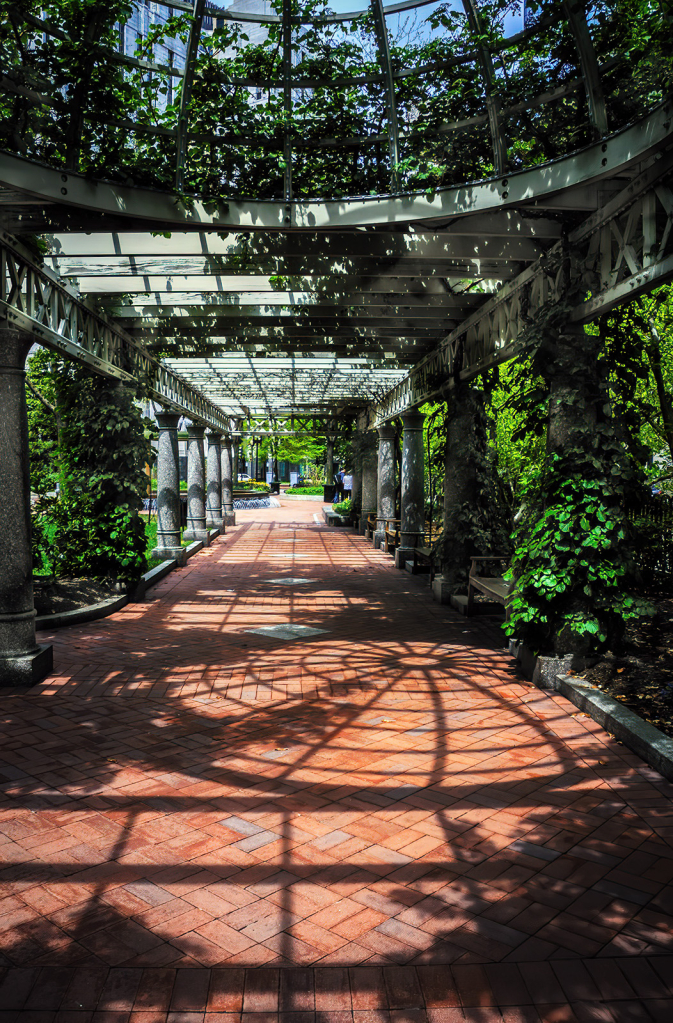 Pergola Shadows