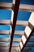Rafters in Blue