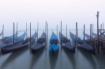 Fog In The Mornin...