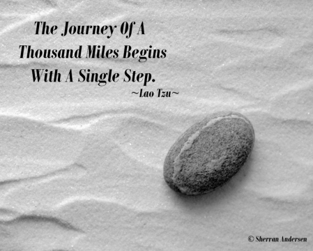 The Journey...