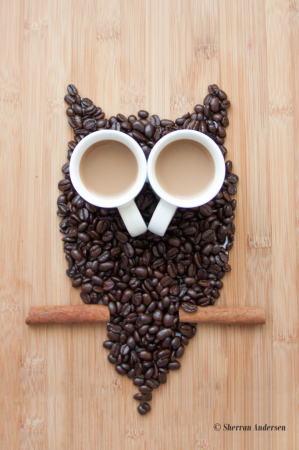 Owl Have My Coffee Break Now