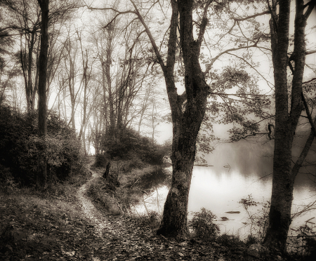 Walk Along Still Waters