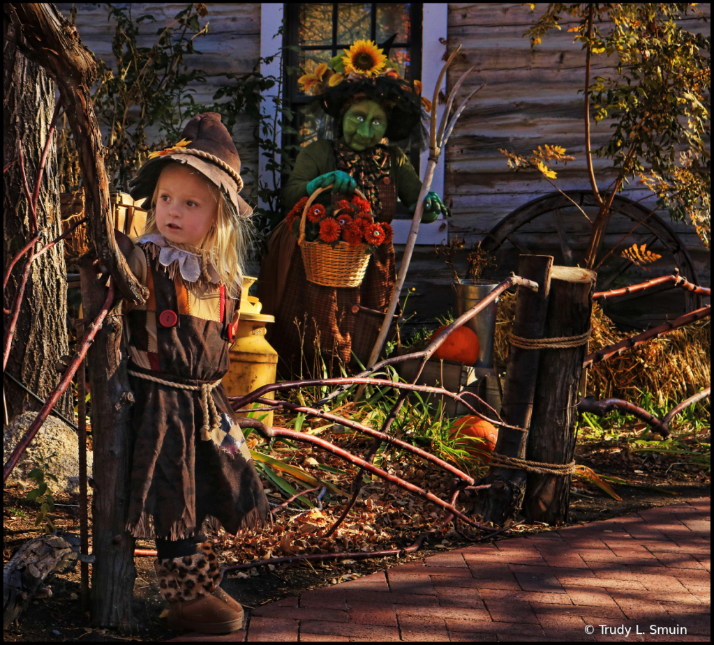~ What Witch ~  - ID: 15996025 © Trudy L. Smuin