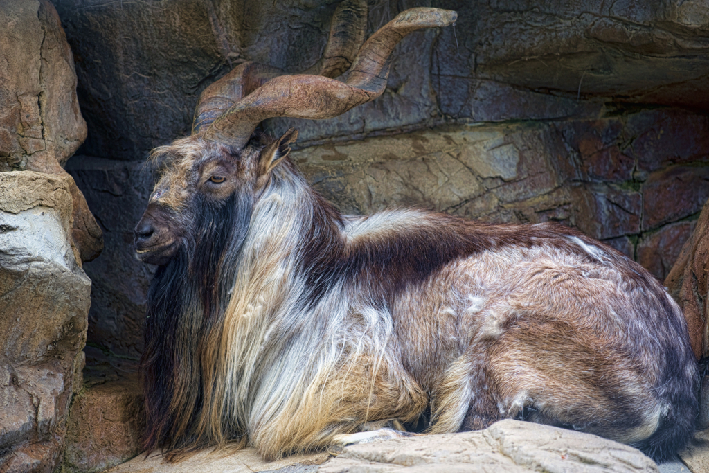 On the Rocks - ID: 15995939 © Kelley J. Heffelfinger