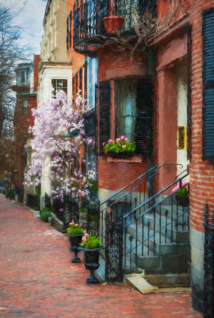 Springtime on Beacon Street