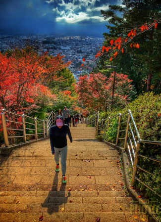 ~ ~ HIKE UP THE MOUNTAIN ~ ~ 