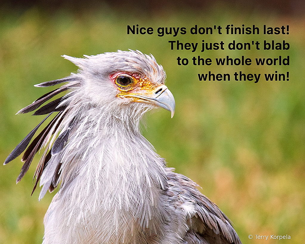 Nice Guys Don't Finish Last!!