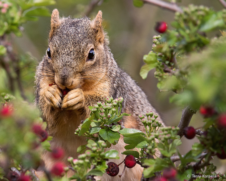 Grabbing a Bite