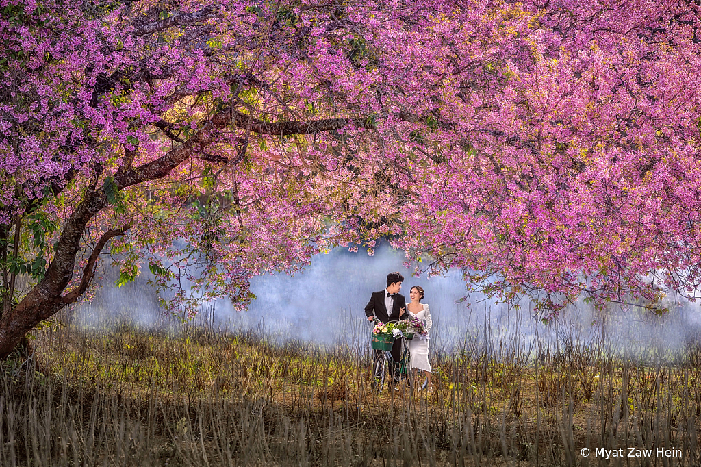 Couple Under The Cherry Tree