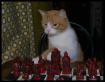 Chess Master
