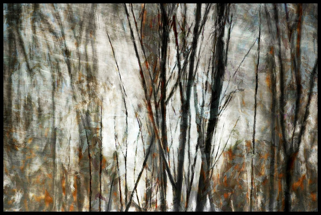 Autumn Abstract