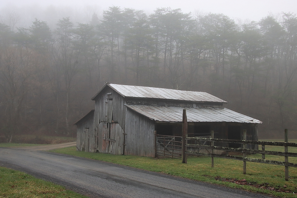 Early Spring Morning