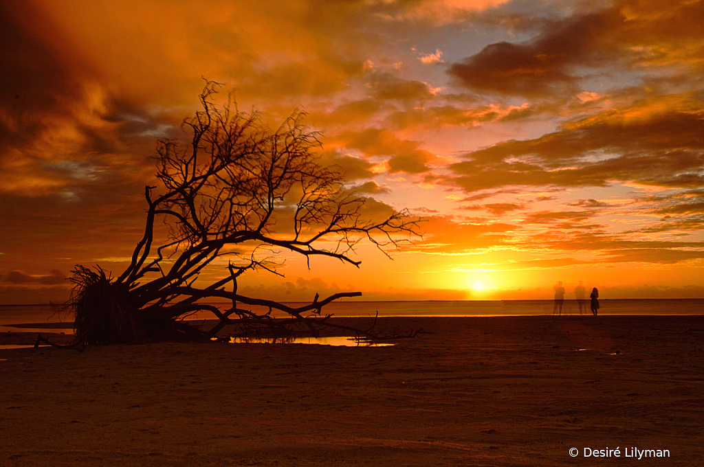 Silhouettes at sunset.