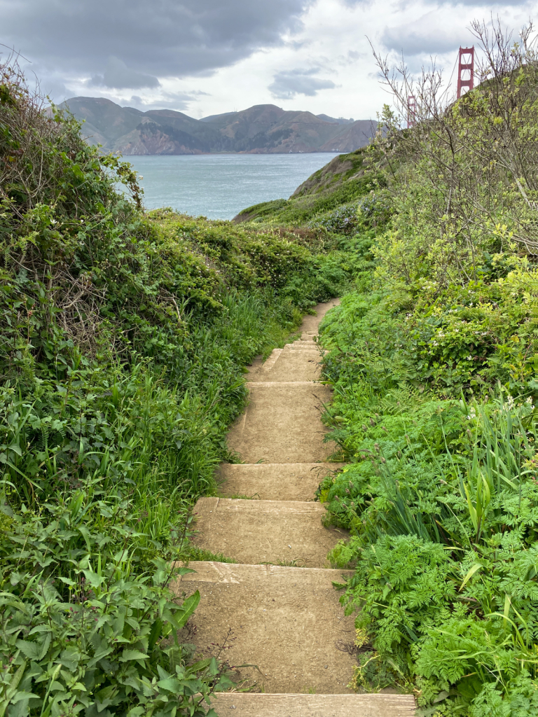 Towards the Bridge