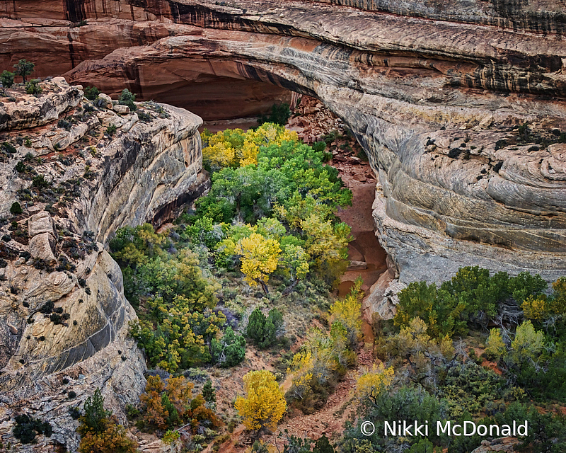 Kachina Bridge