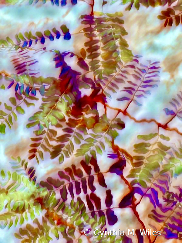 Leaves Abstract  - ID: 15996740 © Cynthia M. Wiles
