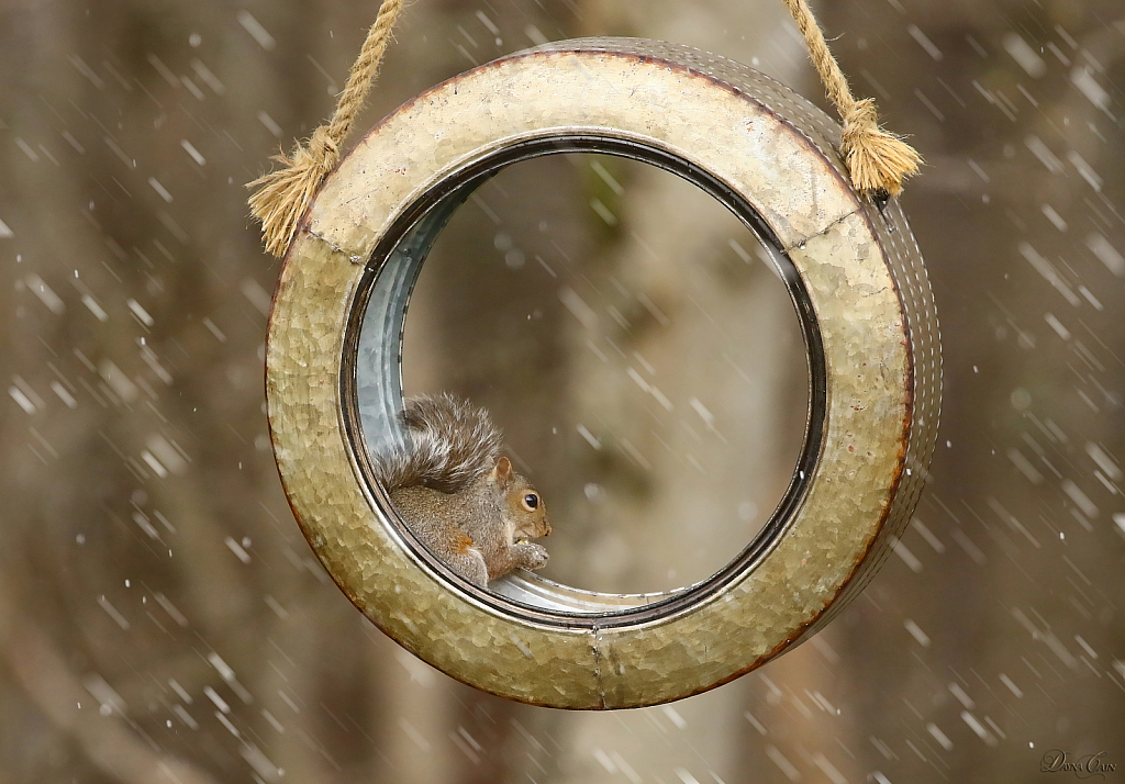 Taking Shelter From The Storm