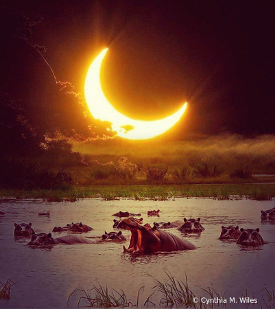 Eclipse in Africa 