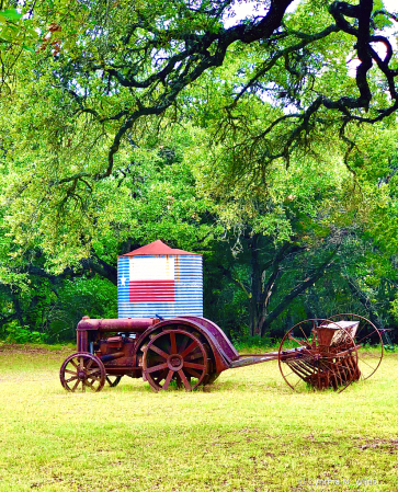 On the Farm