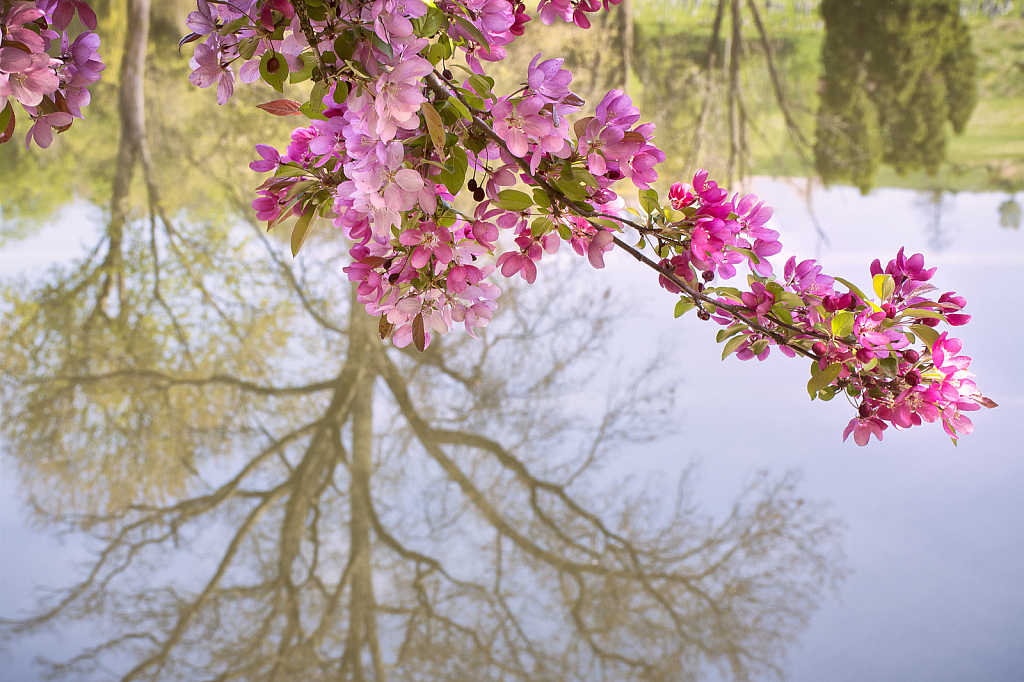 Spring on the Lake