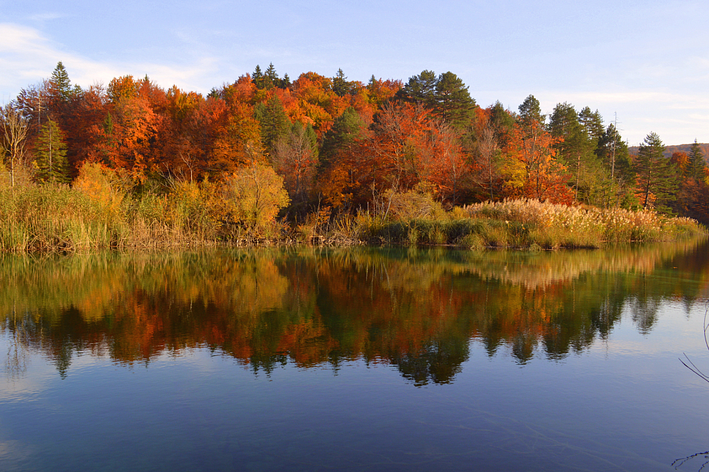 Reflecting on Fall - ID: 15998274 © John V. Roscich