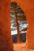 Photography Contest Grand Prize Winner - April 2022: Nature's Archway