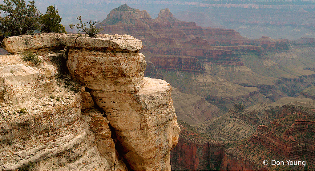 Grand Canyon, North Rim - ID: 15998673 © Don Young