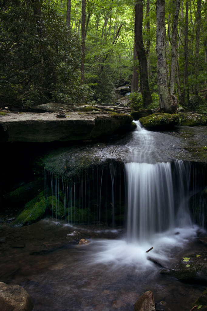 Spring Flowing