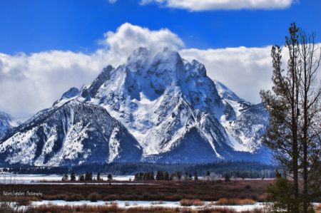 ~ Wyoming Teton's ~