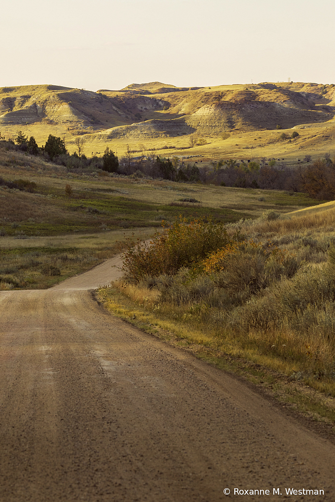 A drive through the North Dakota badlands - ID: 15999436 © Roxanne M. Westman