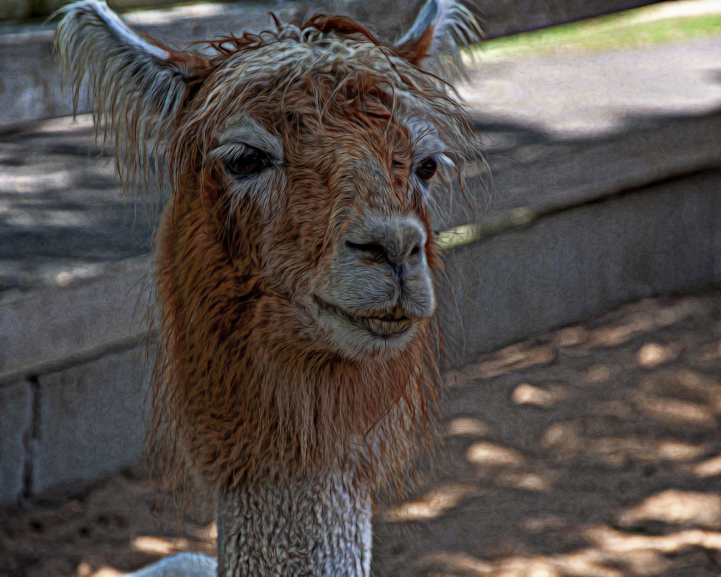 Gllama Shot