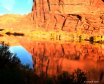 Reflections On My...