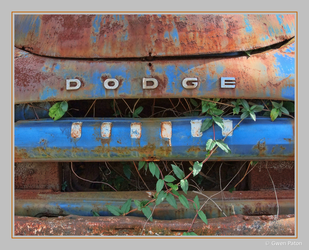 Rusty Dodge