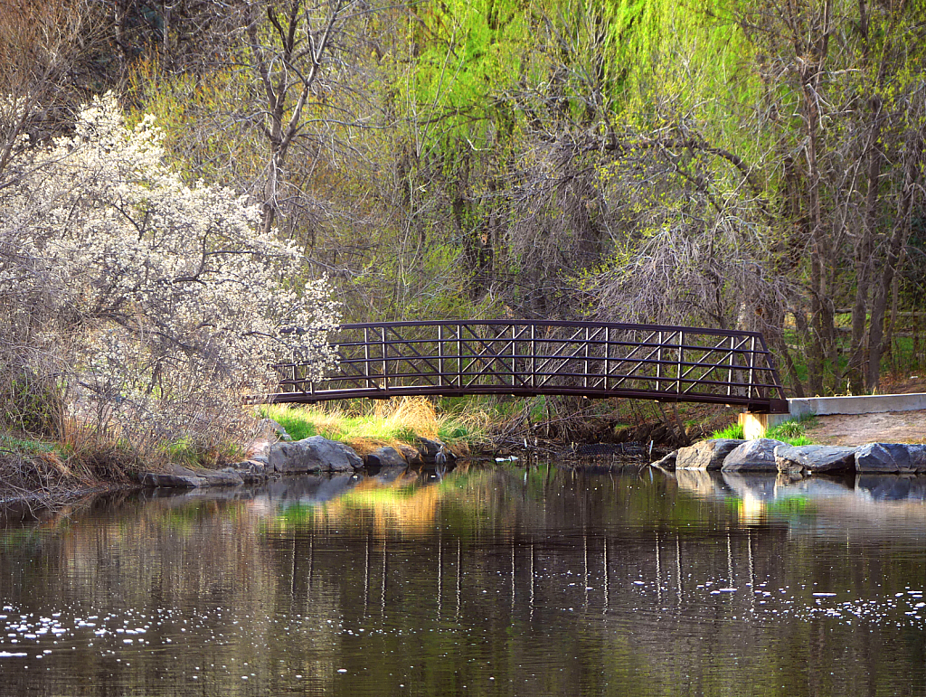 Early Spring in the Park