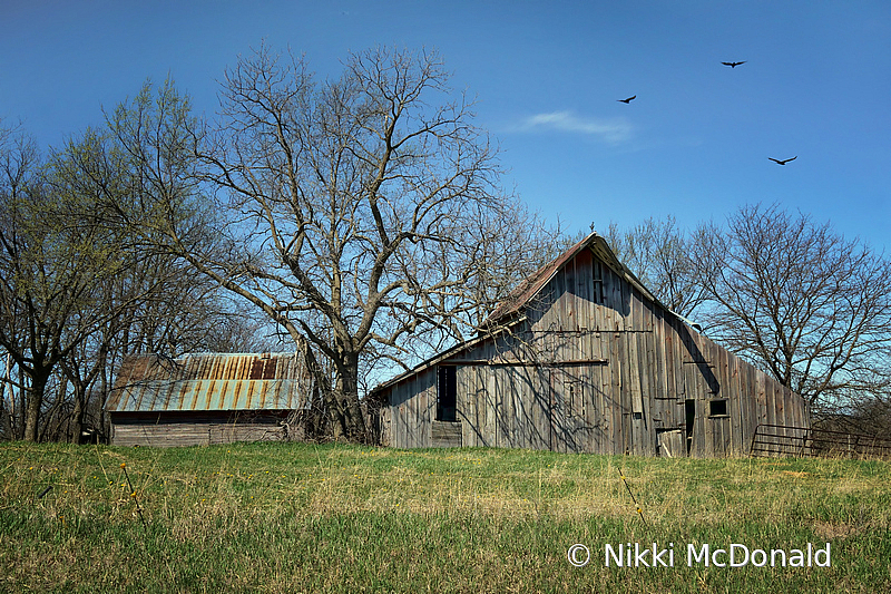 Pawnee County Barn