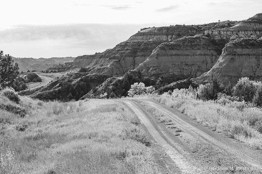 Bennet Creek Backroad in the badlands - ID: 16000046 © Roxanne M. Westman