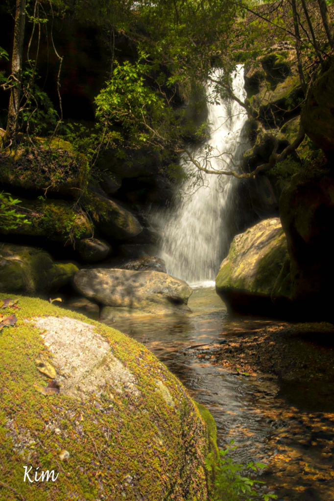 The Falls in the Canyon