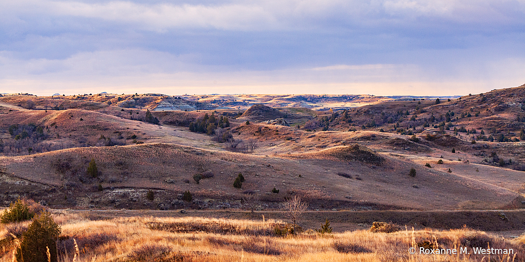 Beauty in the badlands