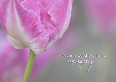 Be Amazing