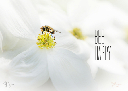 Bee Happy Too!